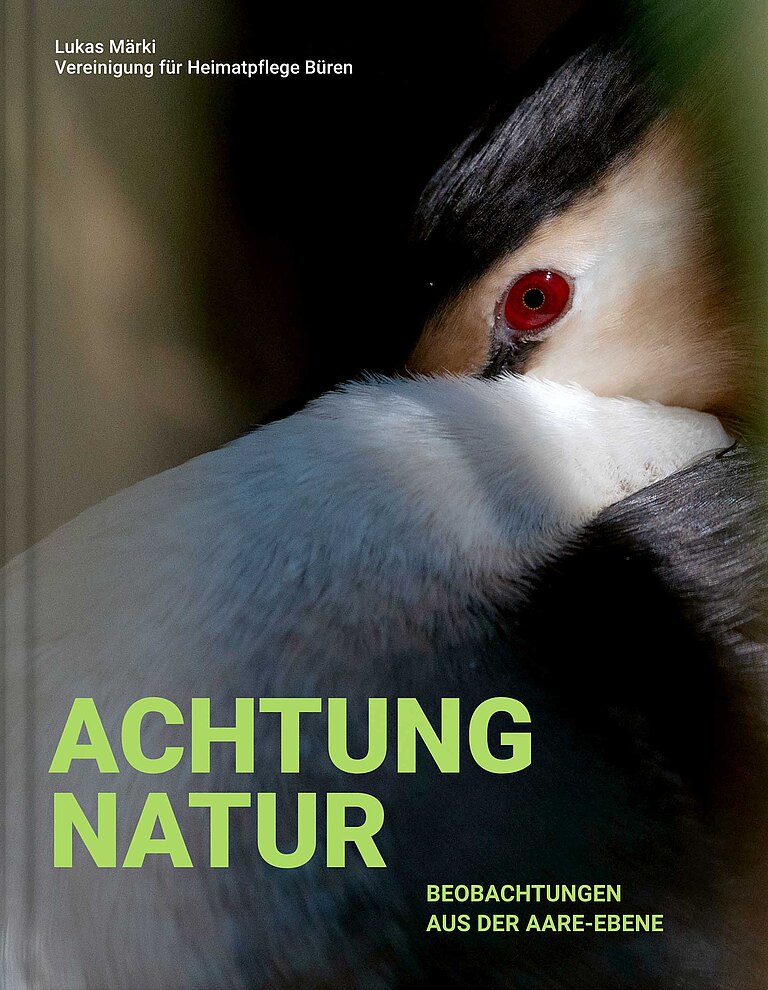 Buchcover: Achtung Natur